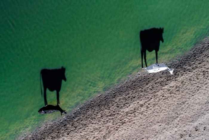 ganadora concurso Dronestagram, categoría creativa
