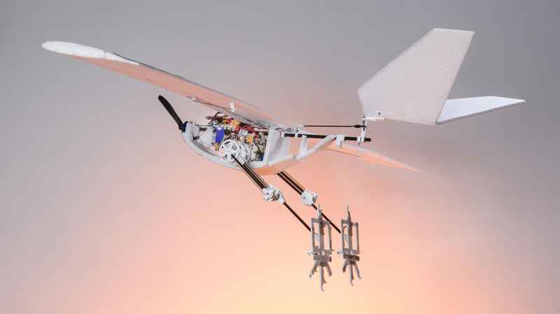 Robot volador RAVEN