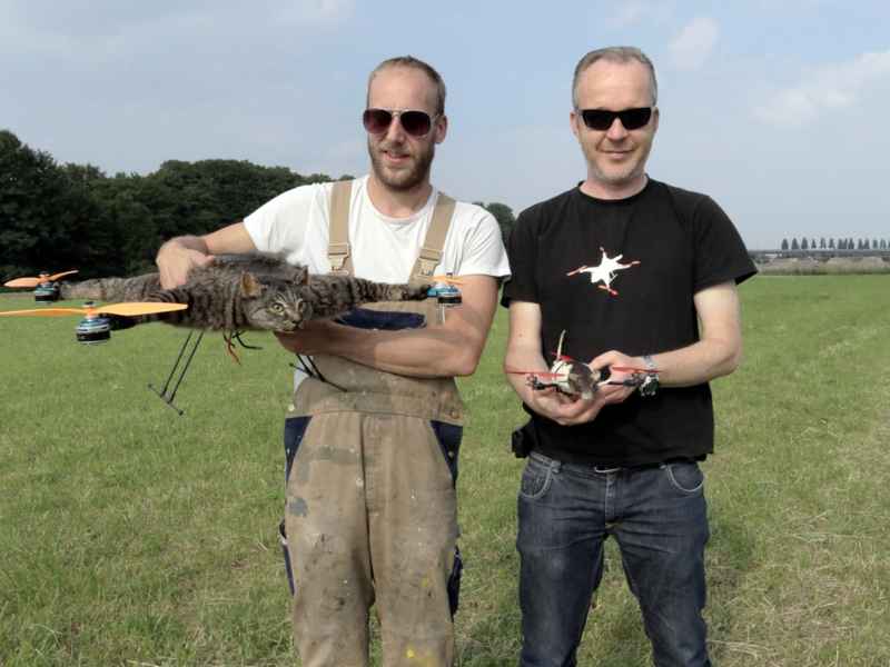 gato y rata drones